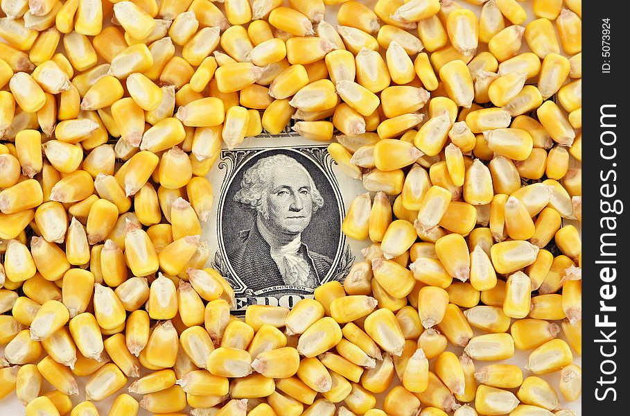 A pile of corn kernels with a dollor bill showing through the center. A pile of corn kernels with a dollor bill showing through the center