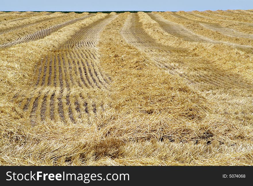 Harvested Wheatfield I