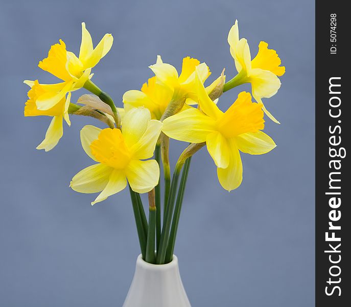 Bouquet of narcissuses in a vase