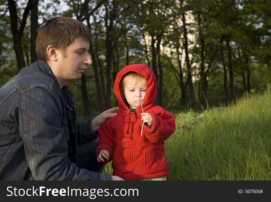 The daddy and a small daughter blow on a white dandelion. The daddy and a small daughter blow on a white dandelion