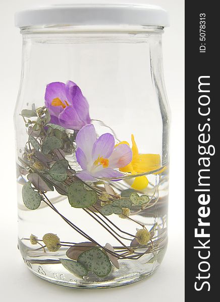 Spring flowers in glass on white background. Spring flowers in glass on white background