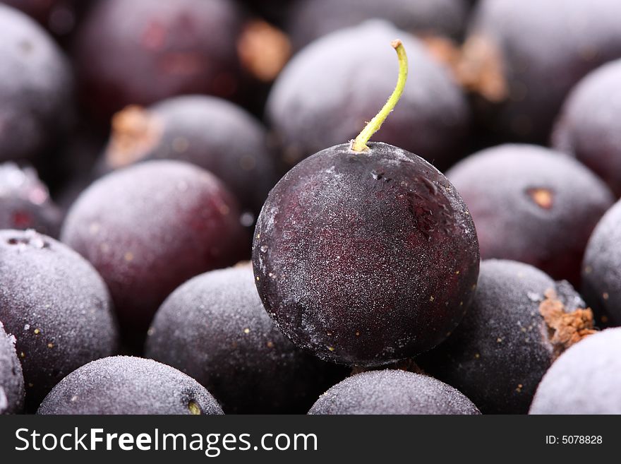 Frozen black currant close-up