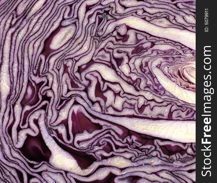 Closeup of one half of a red cabbage. Closeup of one half of a red cabbage.