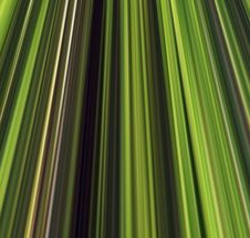 Abstract Linear Color Background. Royalty Free Stock Image Abstract Linear Color Background. Royalty Free Stock Image