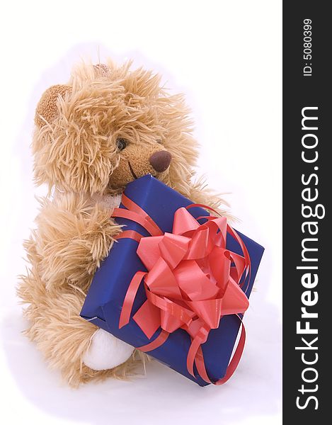 Teddy bear with gift box isolated on white
