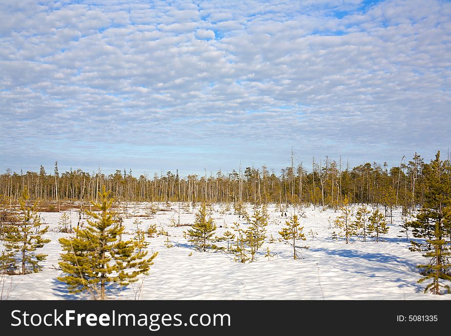 Horizontal Karelian steppe landscape photography spring. Horizontal Karelian steppe landscape photography spring.