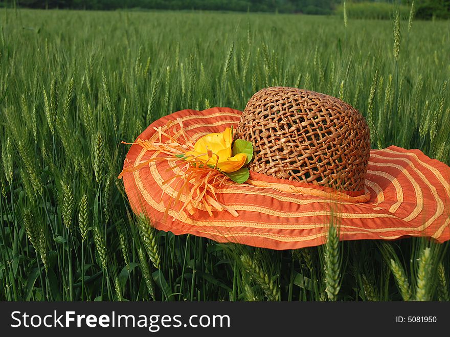 A nice hat on the wheat field. A nice hat on the wheat field