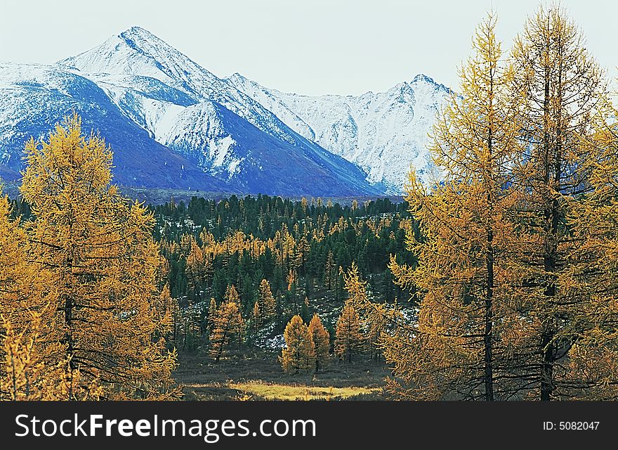 Autumnal Landscape In The North Mountain.