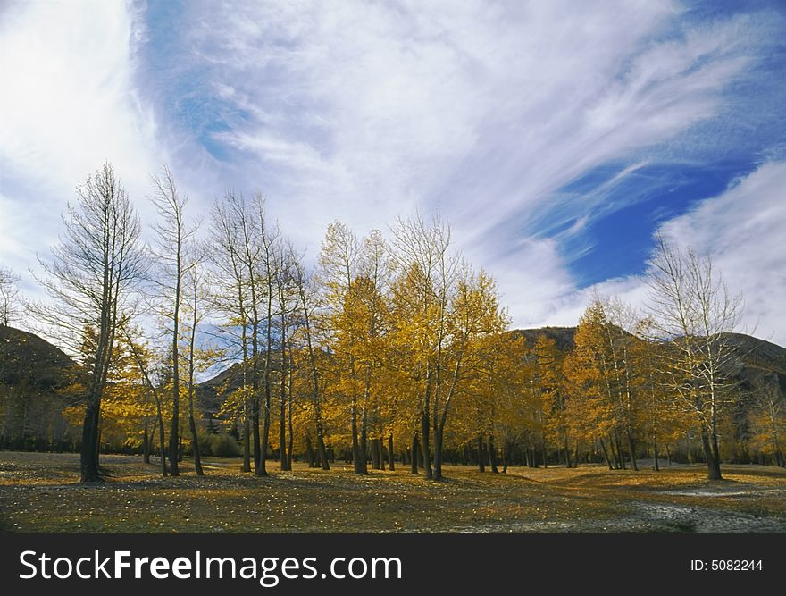 Autumnal landscape in the north mountain. Photo.