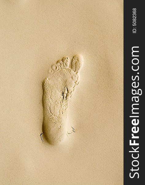 Footprint 4