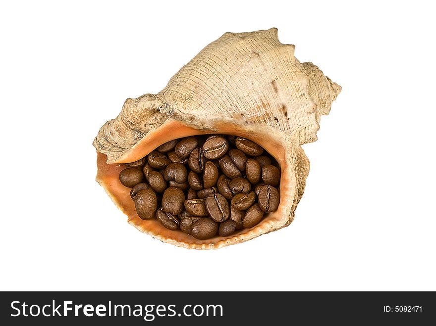 Coffee grains in a sea cockleshell