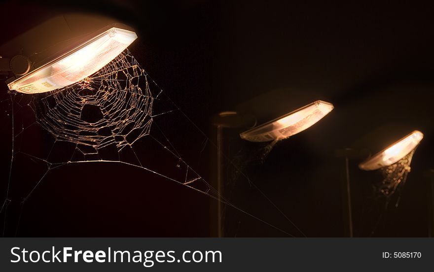 Image of a spider-web at night. Image of a spider-web at night