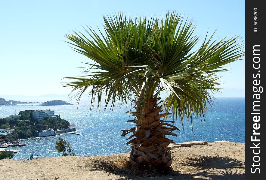 Palma overlooking the sea, lifted in Turkey