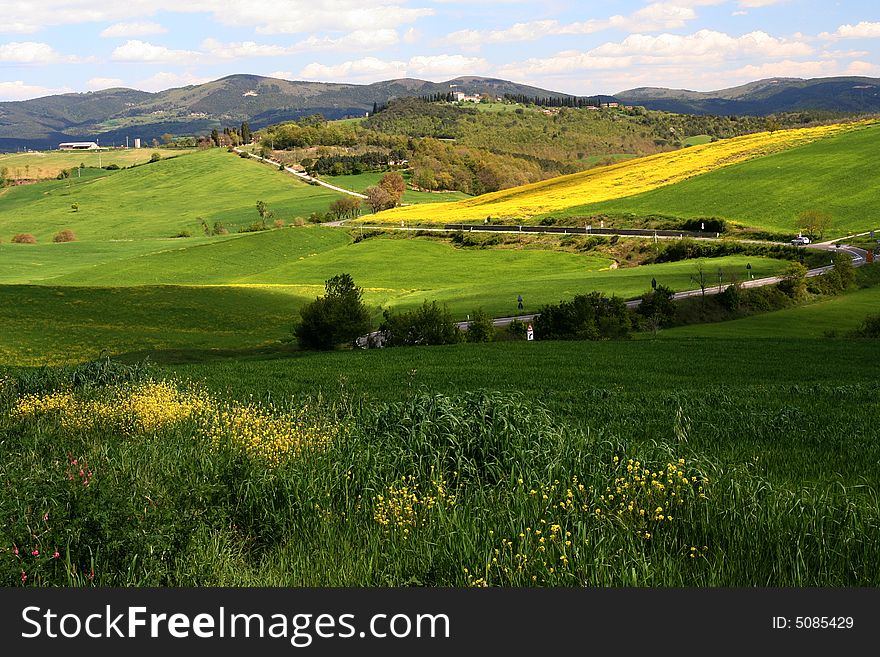 Landscape near San Galgano - Tuscany - Italy. Landscape near San Galgano - Tuscany - Italy