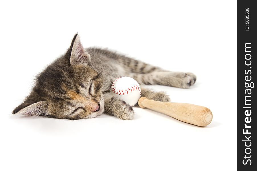A kitten takes a nap while holding a baseball and bat on a white background. One in a series. A kitten takes a nap while holding a baseball and bat on a white background. One in a series