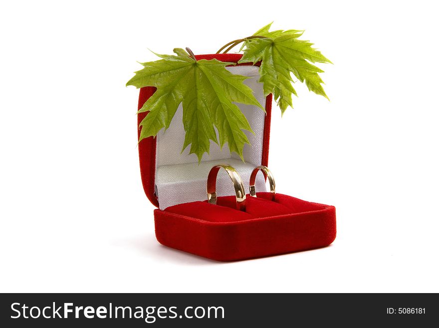 Wedding rings in a red box with green spring leaves on a white background