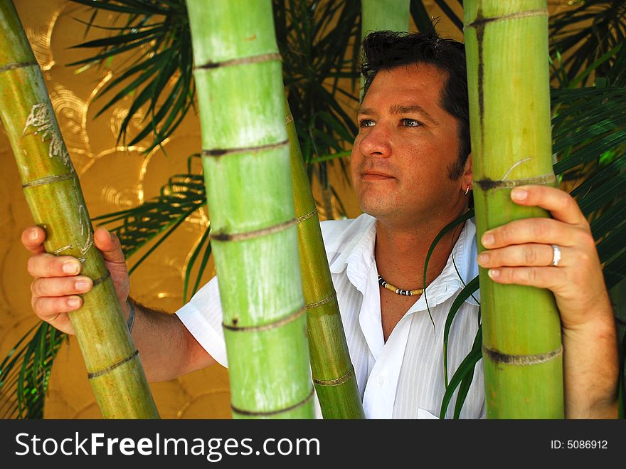 Male model posing behind bamboo shoots in a tropical location. Male model posing behind bamboo shoots in a tropical location