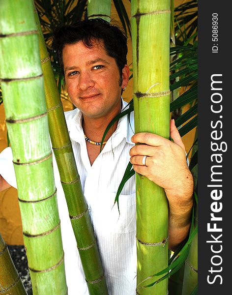 Male model posing behind bamboo shoots in a tropical location. Male model posing behind bamboo shoots in a tropical location