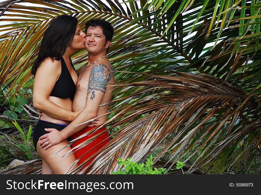 Island couples finding romance under a palm tree. Island couples finding romance under a palm tree.