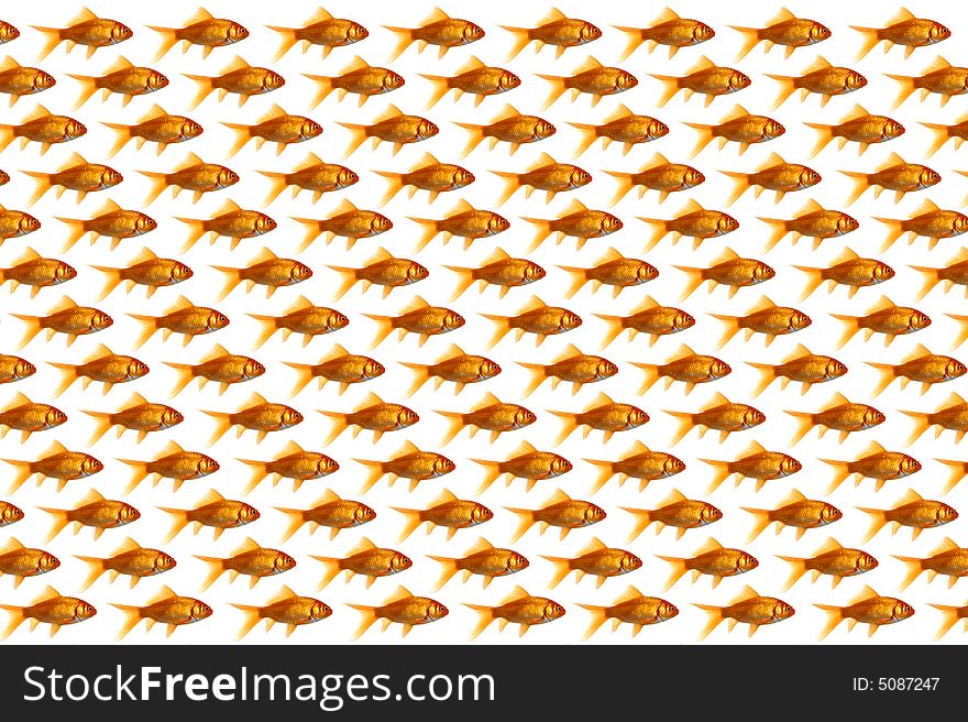 A background of lots of goldfish. A background of lots of goldfish