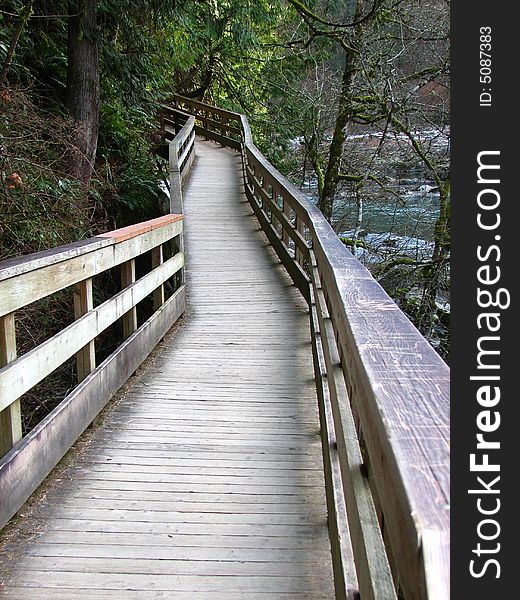 A wooden boardwalk leading into the unknown. A wooden boardwalk leading into the unknown.