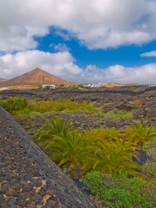 Lanscape Of Lanzarote Island Stock Images Lanscape Of Lanzarote Island Stock Images