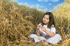 Littel Girl In A Wheat Field Stock Images