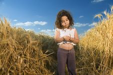 Little Girl In A Wheat Field Royalty Free Stock Image Little Girl In A Wheat Field Royalty Free Stock Image