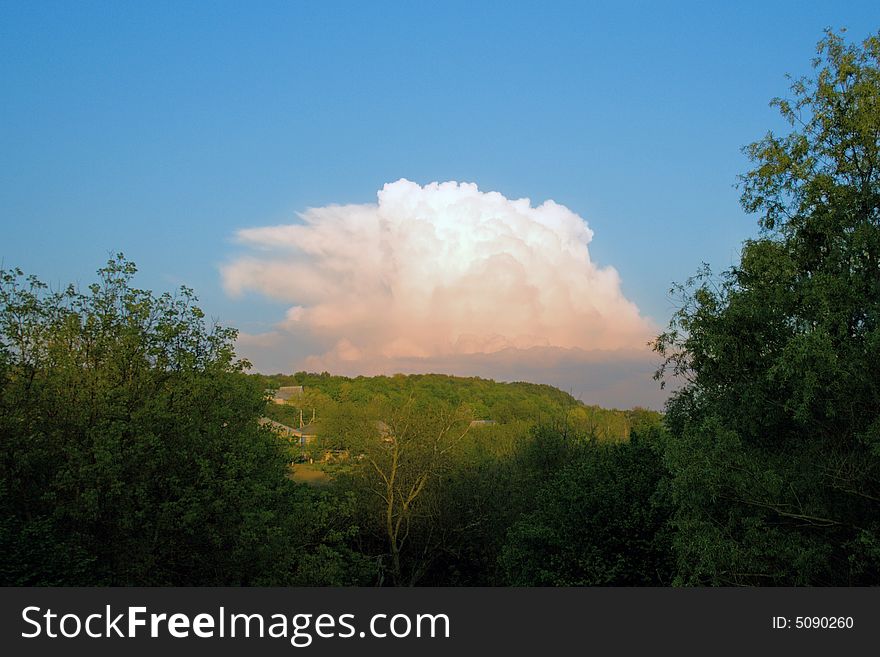 Green wood and storm cloud. Green wood and storm cloud