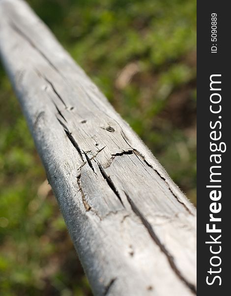 Old shaggy log, shallow DOF. Old shaggy log, shallow DOF