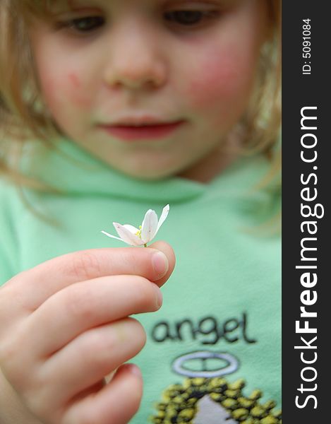 A young girl holding a flower. A young girl holding a flower