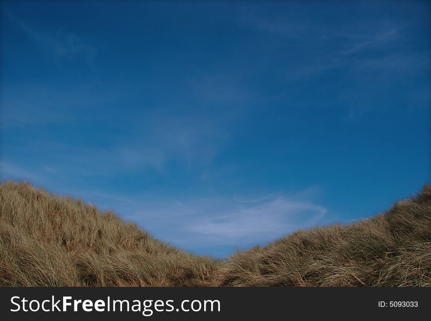 Tall grass on sand dunes on the west coast of ireland. Tall grass on sand dunes on the west coast of ireland