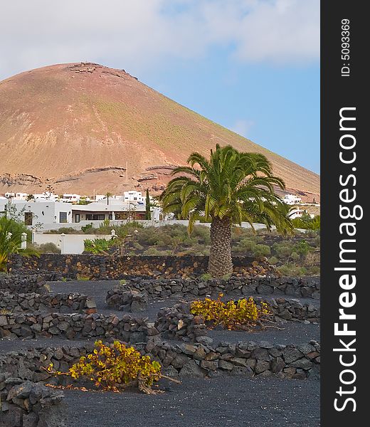 Landscape of Lanzarote island, Canary islands. Landscape of Lanzarote island, Canary islands