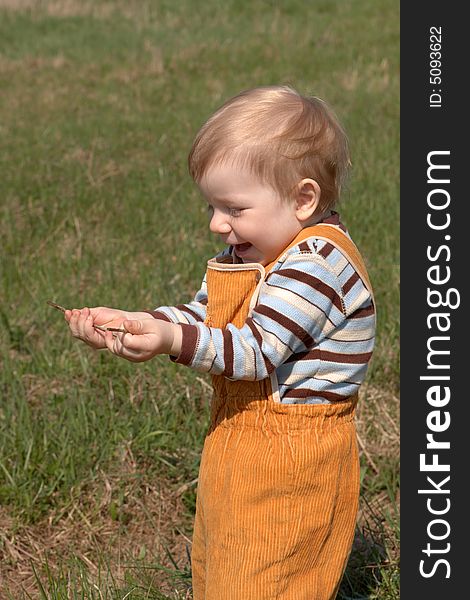 Young boy studies the nature. Young boy studies the nature