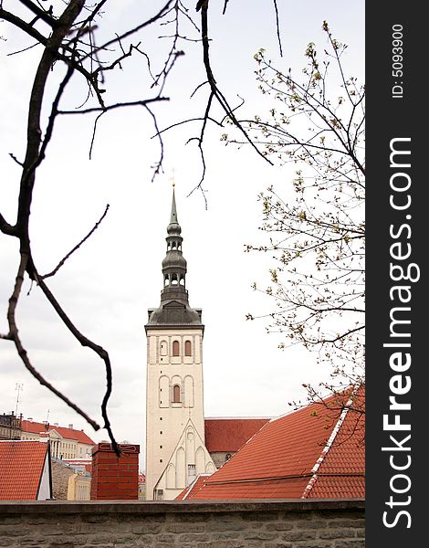 Kind on city Tallinn with church and roofs