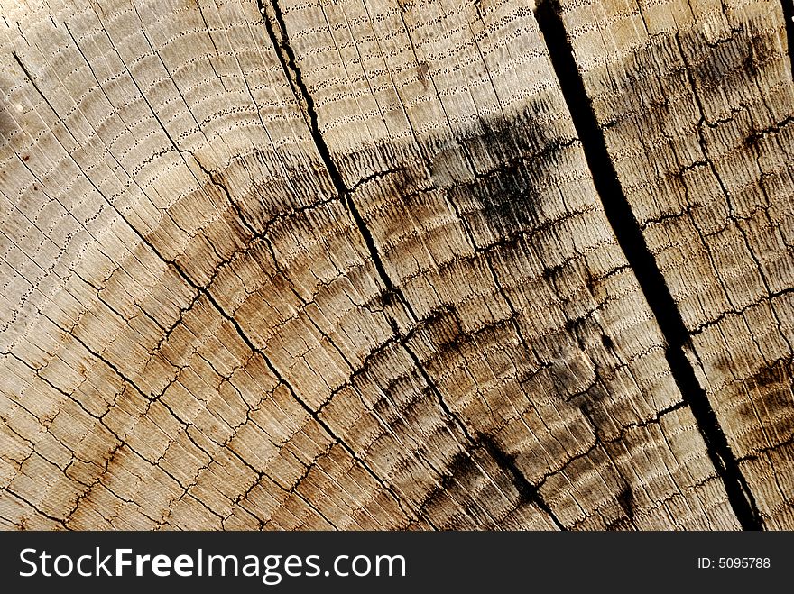 Aged wooden texture for use as a background