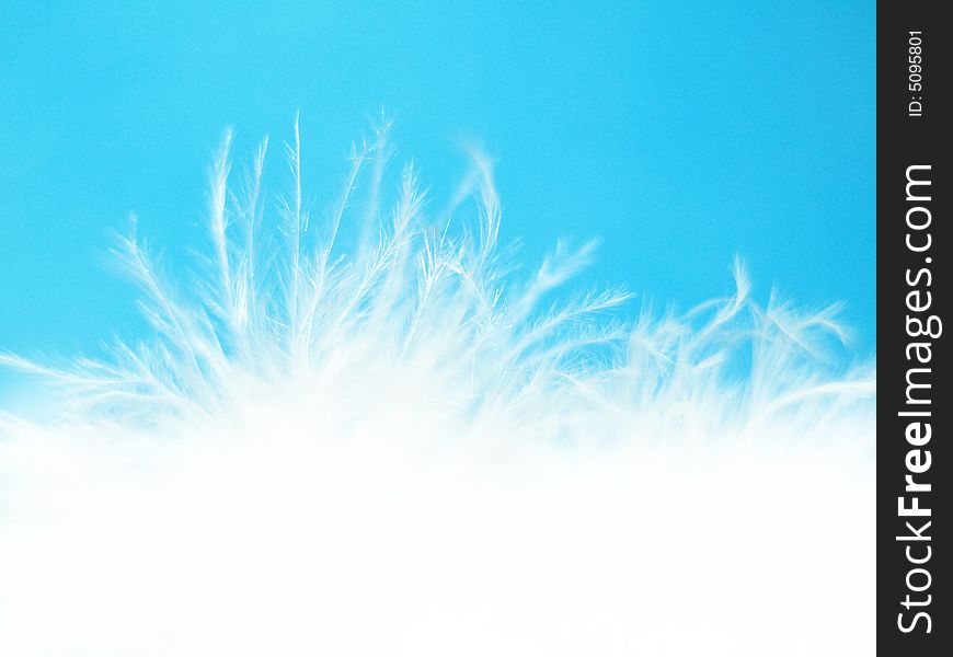 A lot of thin white feathers and down over light blue background. A lot of thin white feathers and down over light blue background