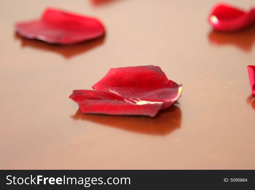 Petals scattered on a table