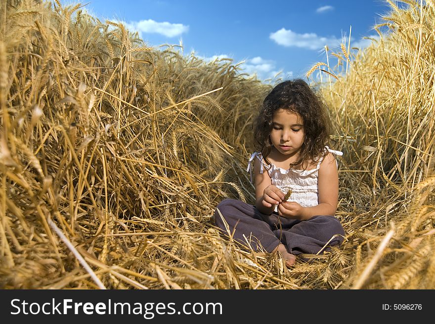 Little girl in a wheat field