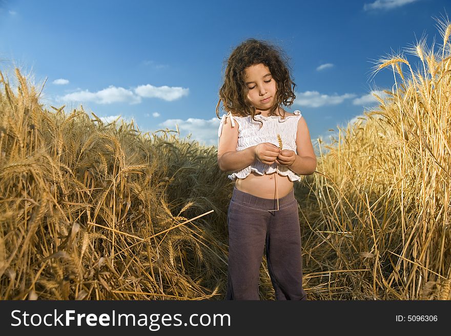 Little girl in a wheat field