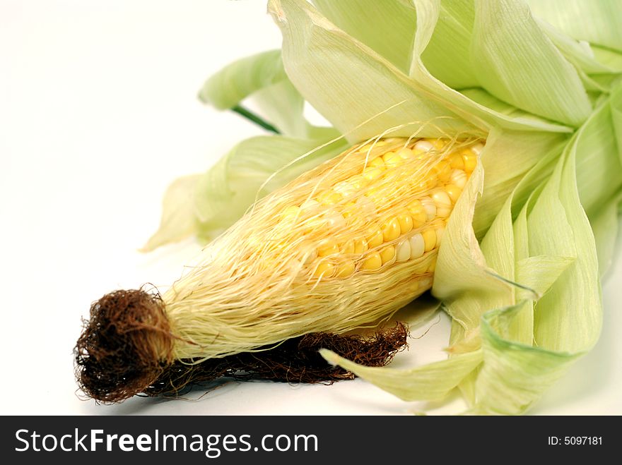 Fresh ear of corn over a white background. Fresh ear of corn over a white background
