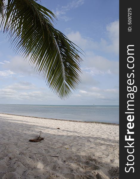 Tropical, peaceful and untemporal lanscape picture. Tropical, peaceful and untemporal lanscape picture