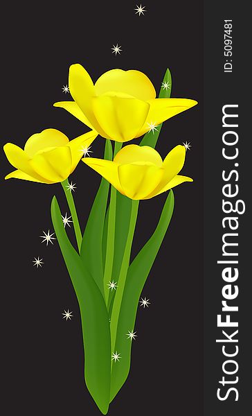 Beautiful yellow tulips. Vector illustration. Beautiful yellow tulips. Vector illustration