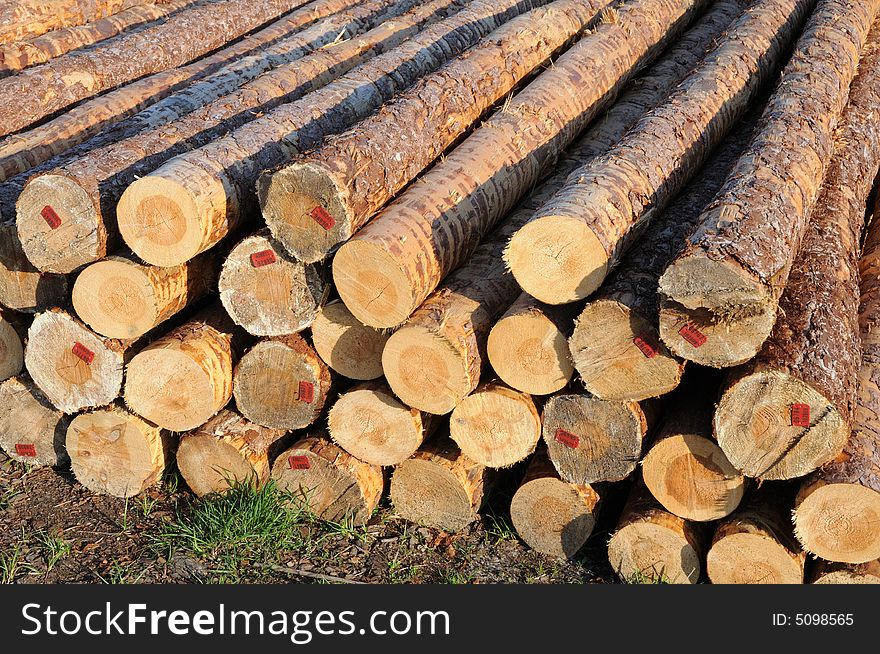 Stacked timber logs ready for processing