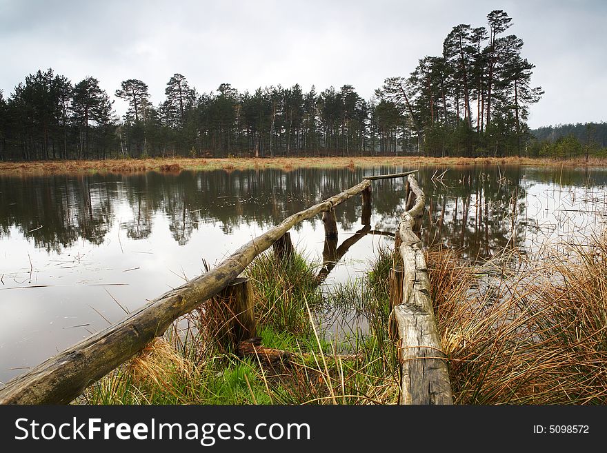 Lake In Forest