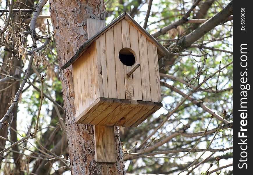 Wooden birdhouse on pine in spring forest. This image has been converted from a RAW-format.