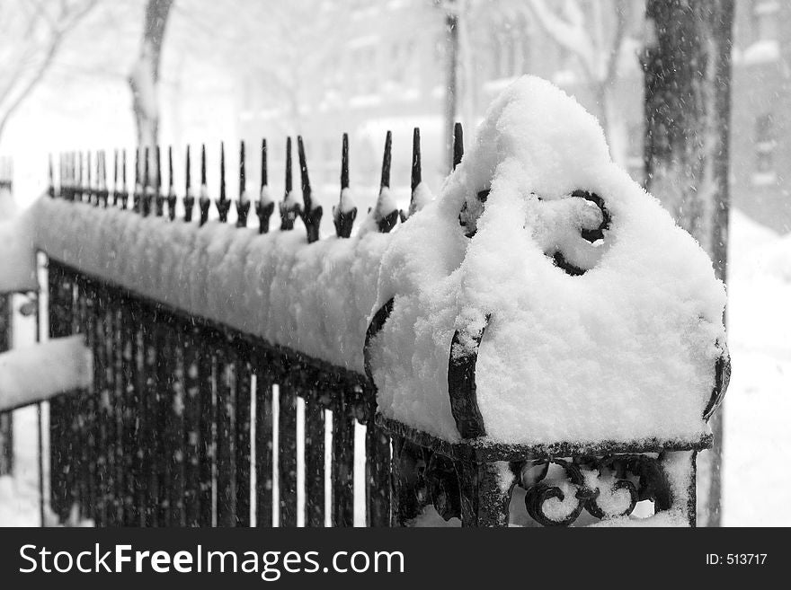Snow day, the fence. Snow day, the fence