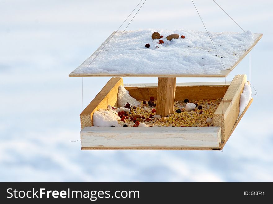 Care of birds in the winter-bird's of a feeding trough. Care of birds in the winter-bird's of a feeding trough