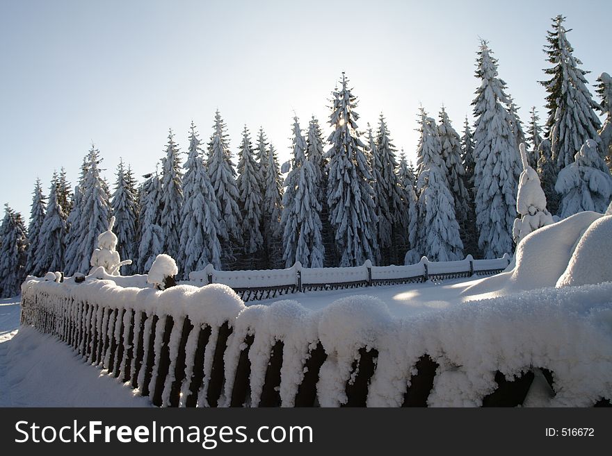 Snowcapped fence in the forest