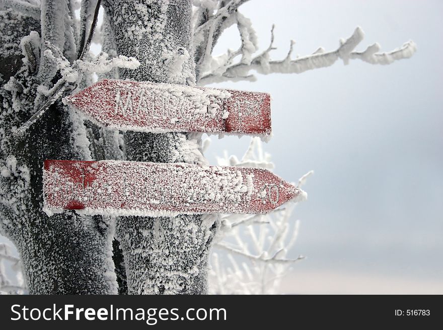 Frozen signpost